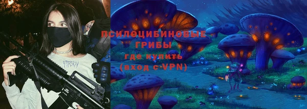 бошки Гусиноозёрск